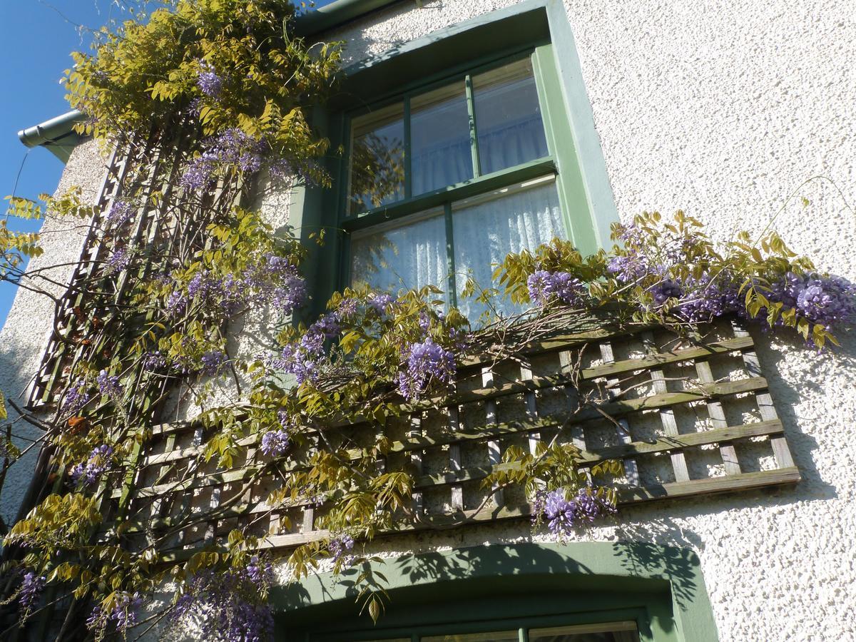 Pomona Bed & Breakfast Lowick Green Exterior photo